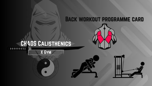 Back workout #1