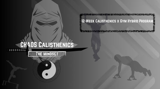 12 week calisthenics personal focus plan