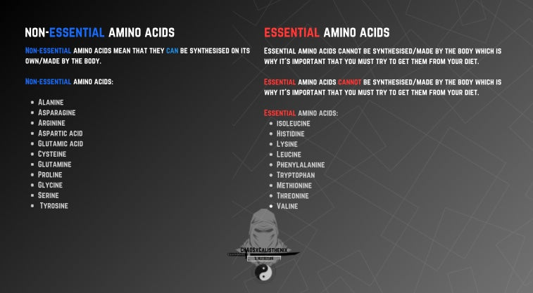 Learn about protein and amino acids.
